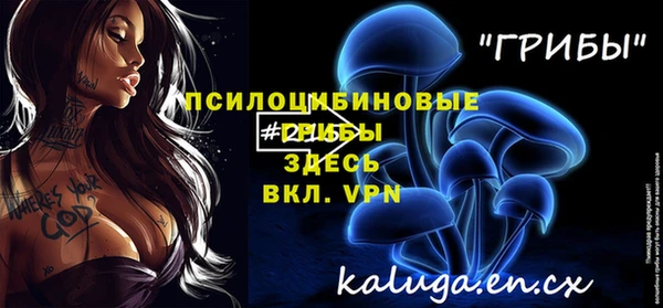 крисы Алексин