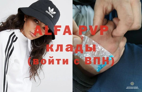 крисы Алексин