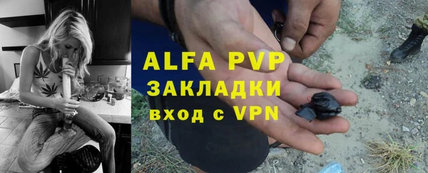 крисы Алексин