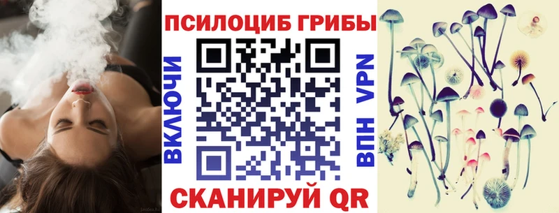 где найти   Рузаевка  Псилоцибиновые грибы Psilocybe 